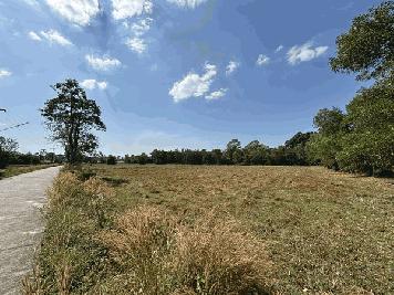 ขายที่ดิน 13 ไร่ 63 ตารางวา นครนายก ถนนสุวรรณศร หมู่ที่9 ต.ป่าขะ อ.บ้านนา โทร 089-7411750